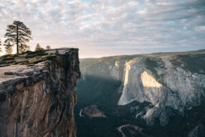 Experience the best Yosemite has to offer in a day