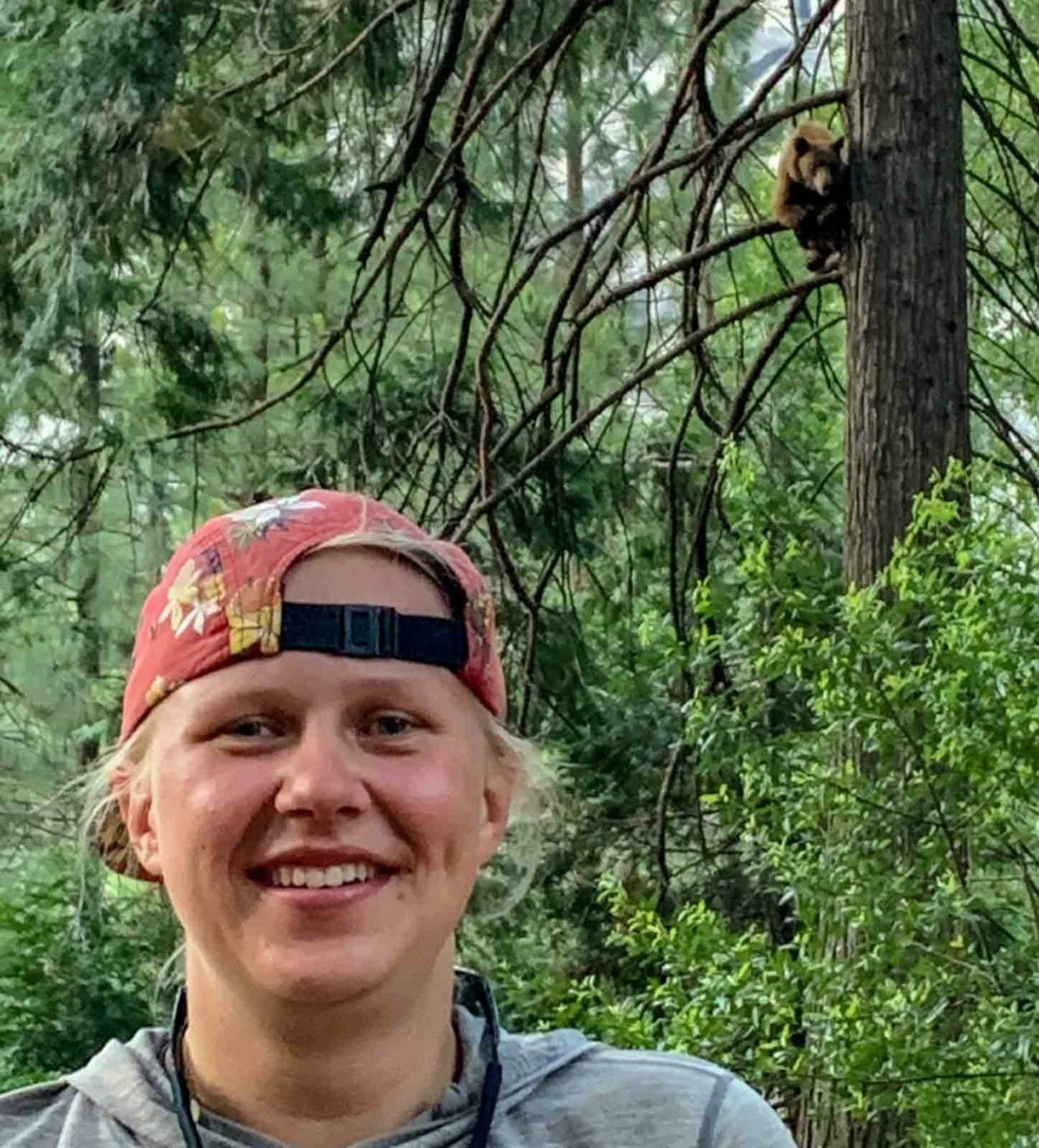 the-truth-about-yosemite-s-black-bears