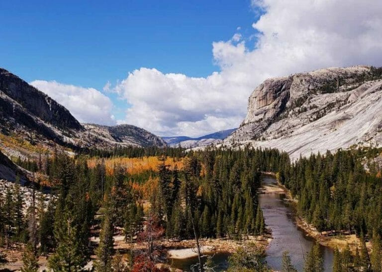 View along our Guided Yosemite Tours