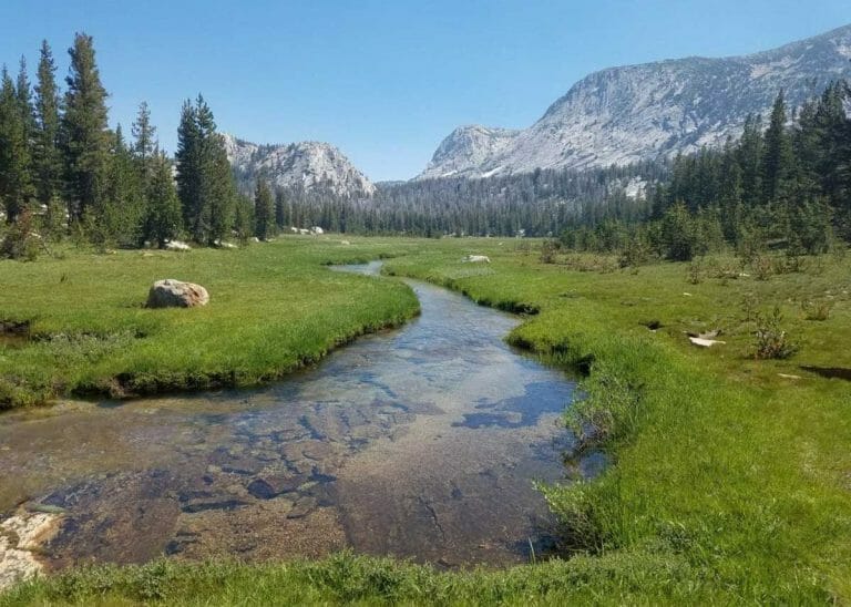 Tuolumne Meadows Guided Hike-2