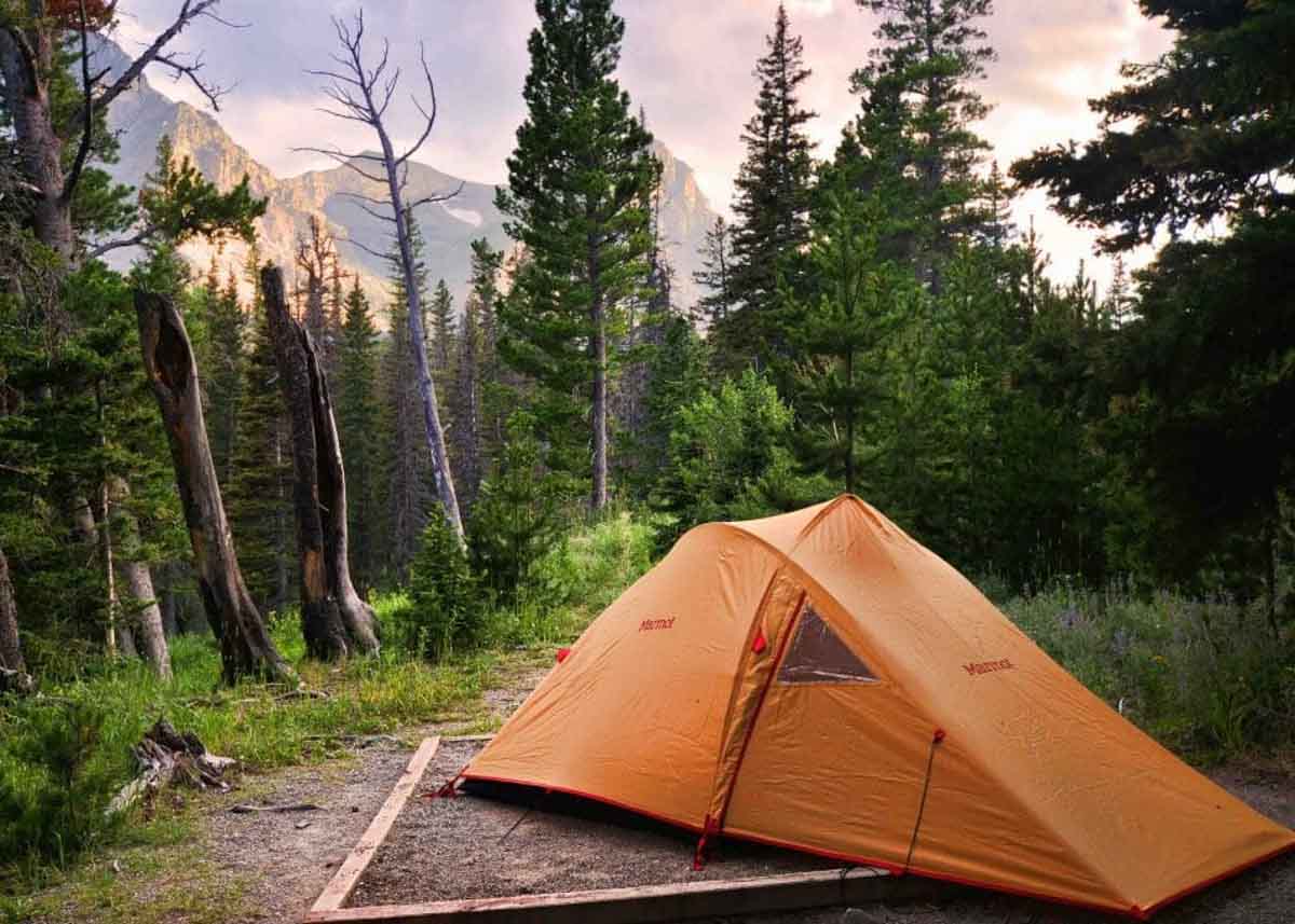 Yosemite Classic Camping-4