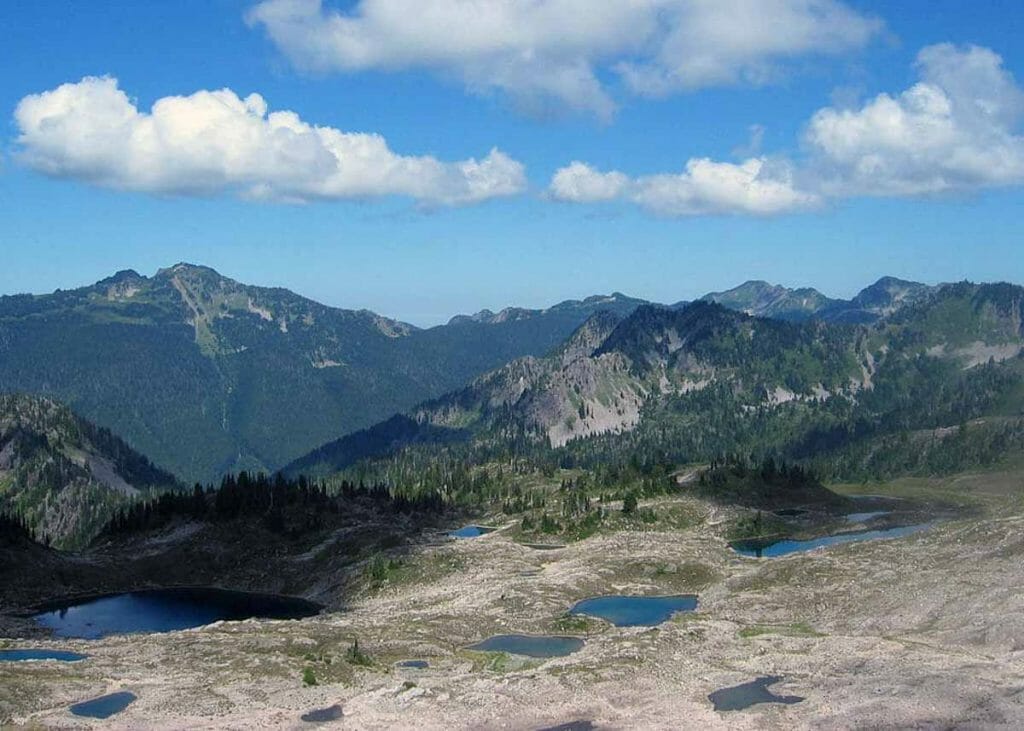 olympic-rainforest-guided-backpacking-trips-2