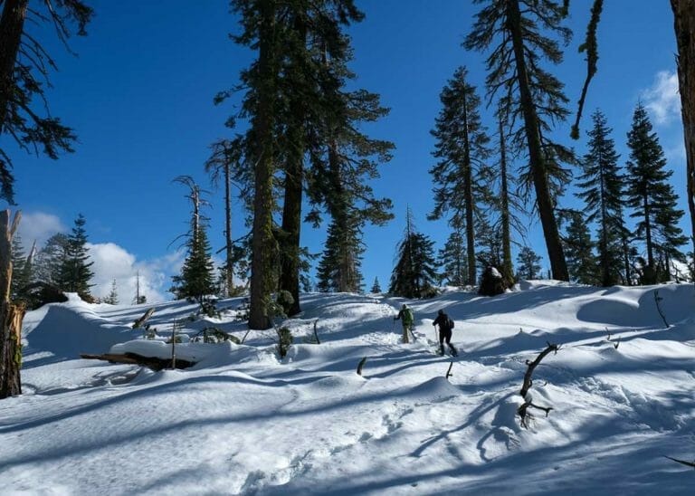 Yosemite Winter Hikes & Snowshoeing Tours-2-4