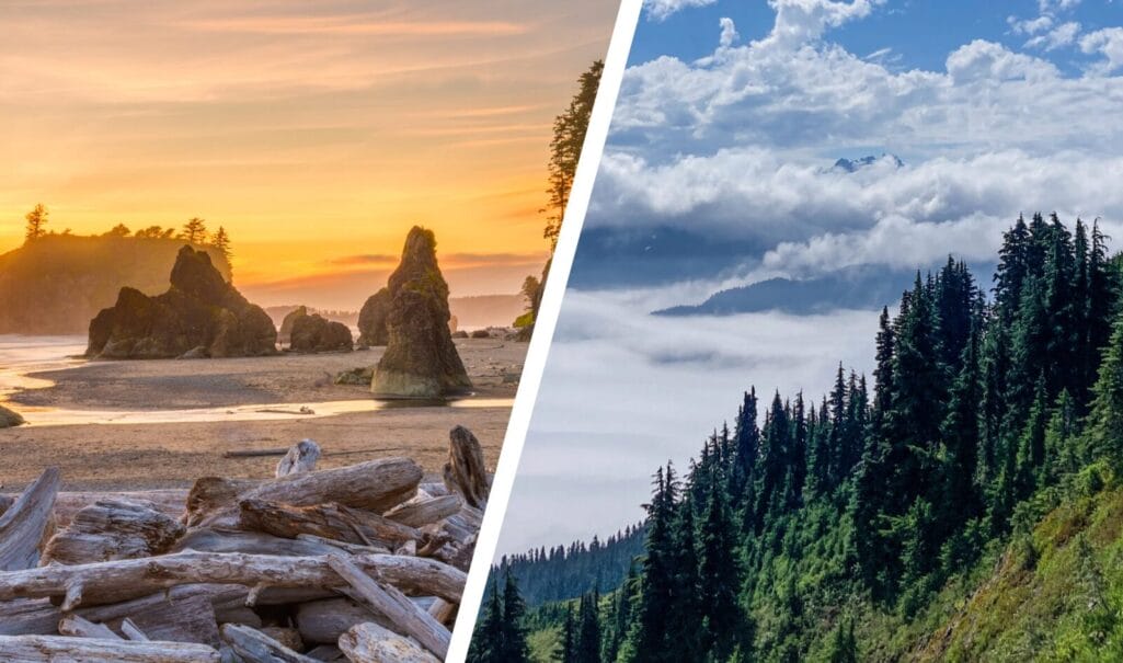 Coastal and Mountain Options for a Youth Backpacking Summer Camp Experience.