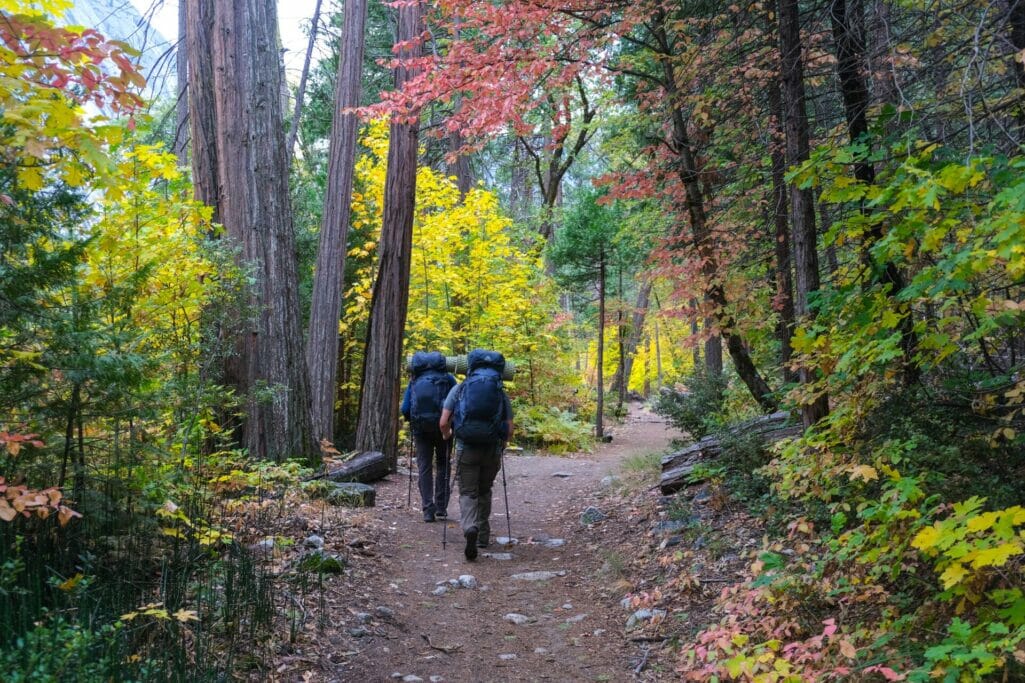 Backpackers walk through fall foliage in Yosemite.