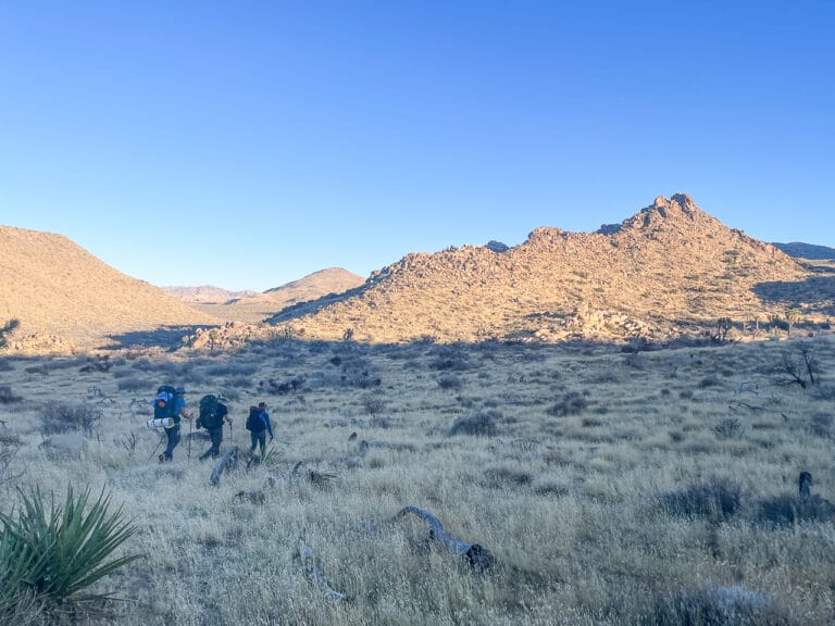 joshua-tree-backpacking-trips-1