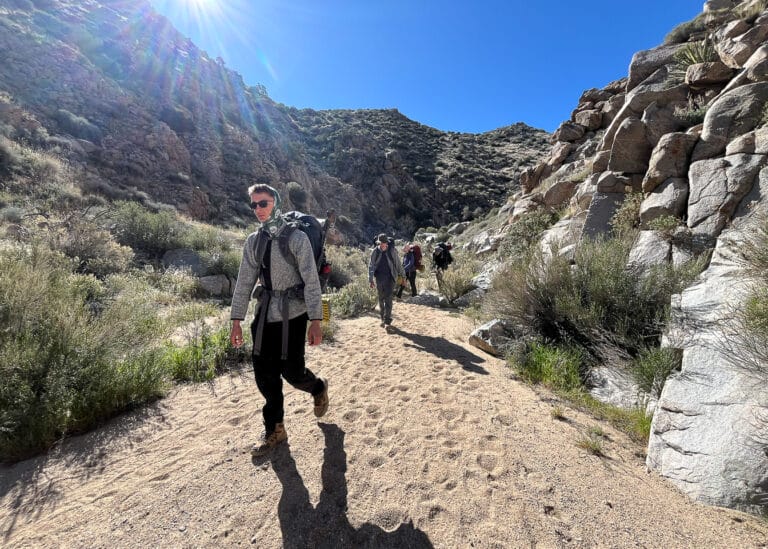 joshua-tree-backpacking-trips-3