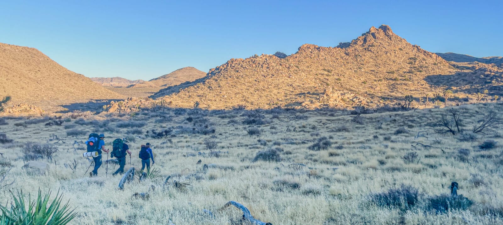 joshua-tree-backpacking-trips-5