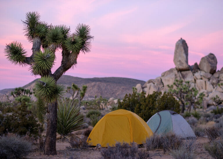 Tents in Joshua Tree National Park at Sunset