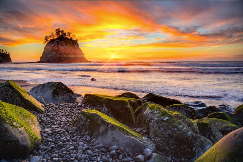 Spring is a great time to visit olympic national park