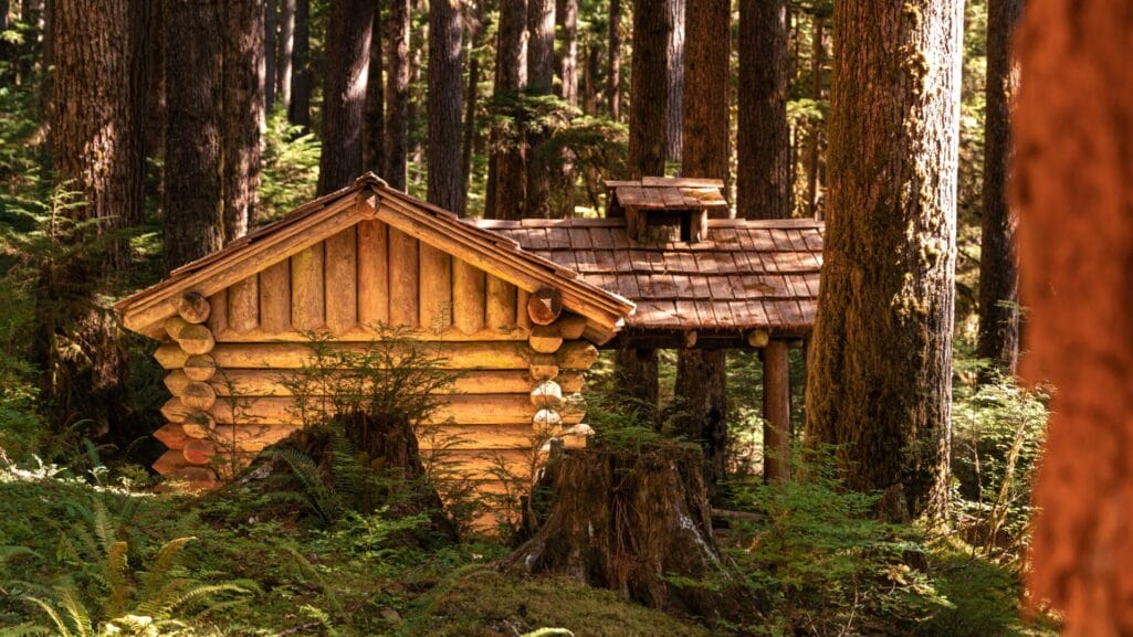 A cozy cabin nestled into the lush rainforests of Olympic National Park