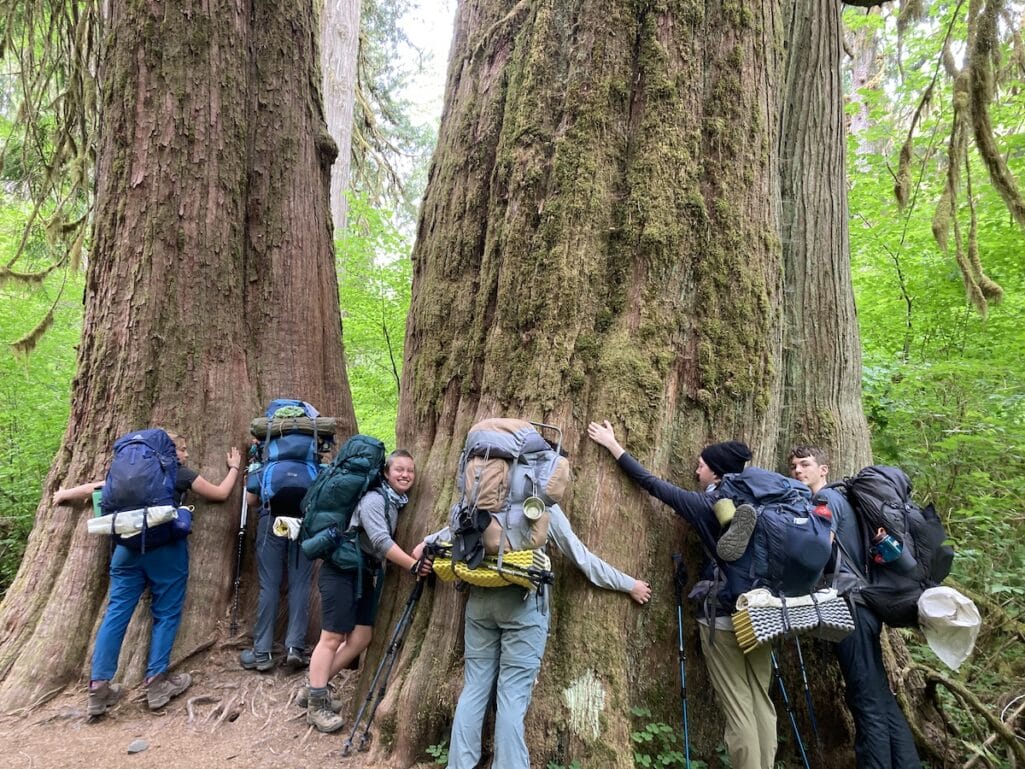 Kids hugging giant trees in the Hoh Rainforest.