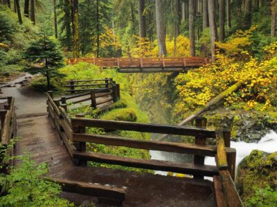 Guided Olympic National Park Backpacking Trips