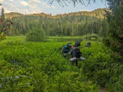 Hiking through a valley on a Teen Summer Adventure in Olympic National Park