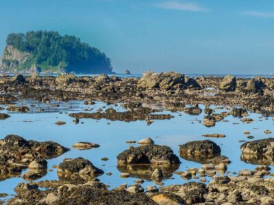 Ozette Look Trail in Washington, Pacific Northwest - Olympic National Park