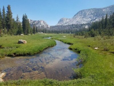 Tuolumne Meadows Guided Hike-2