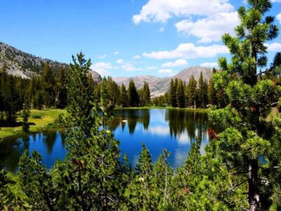 Tuolumne Meadows Guided Hike-6