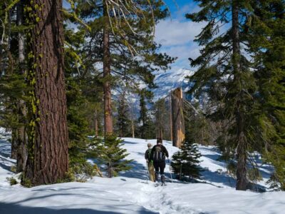 Snowshoeing in Yosemite on a winter hiking tour