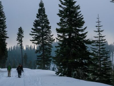 Yosemite Winter Hikes & Snowshoeing Tours-2